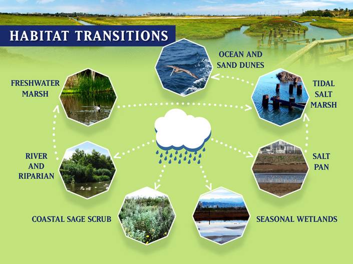 Habitat Transitions Diagram