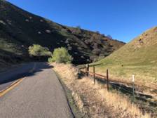 Entrance to the cottonwoods. Photo by Matthew Dodder