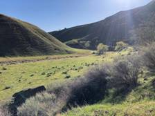 View of creek. Photo by Matthew Dodder