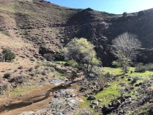 Canyon Wren habitat. Photo by Matthew Dodder