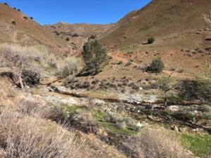 Canyon Wren habitat. Photo by Matthew Dodder