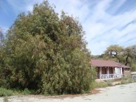 Bell Station Restaurant, closed image. Click for full size.